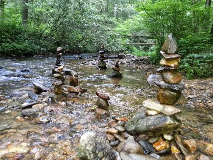 Cooper Creek USFS Campground & Recreation Area Picture 6