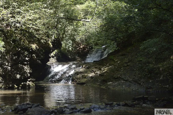 Cooper Creek USFS Campground & Recreation Area Picture 5