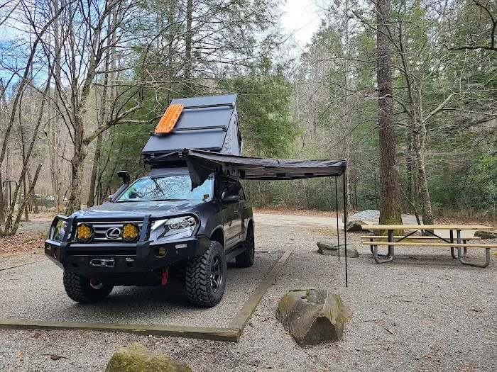 Cooper Creek USFS Campground & Recreation Area Picture 4