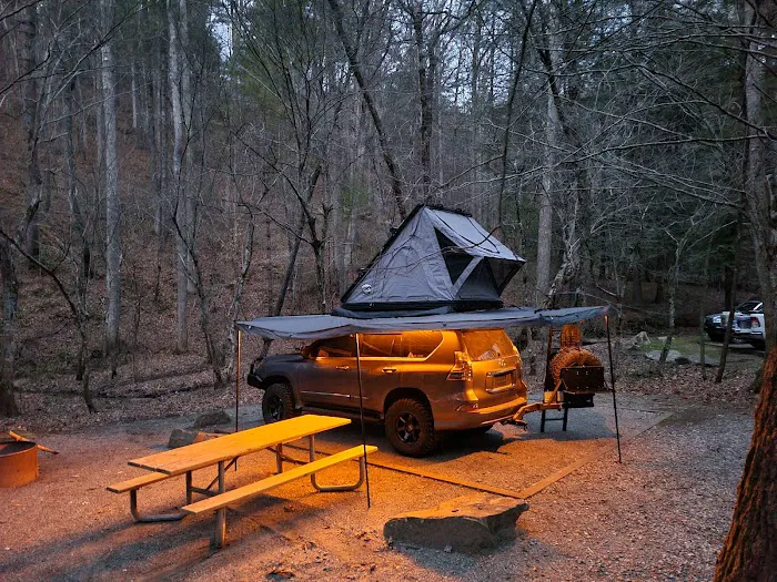 Cooper Creek USFS Campground & Recreation Area Picture 10