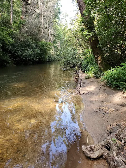 Mulky Campground Picture 1