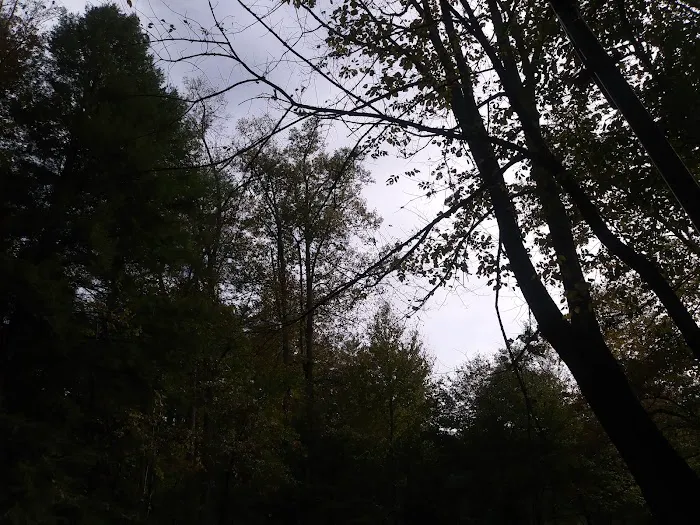 Mulky Campground Picture 4