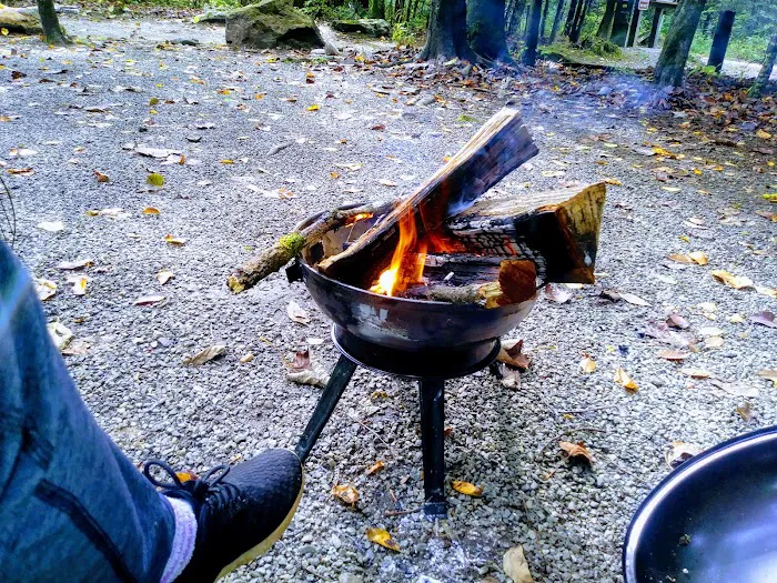 Mulky Campground Picture 6