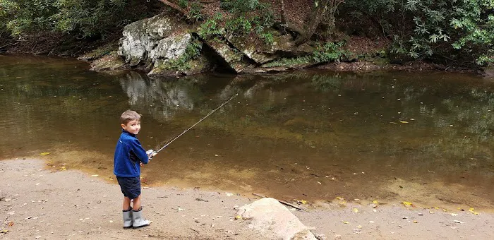 Mulky Campground Picture 8