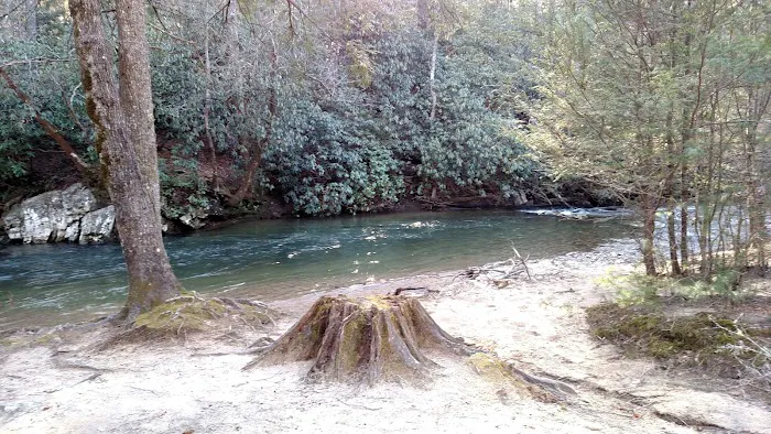 Mulky Campground Picture 7