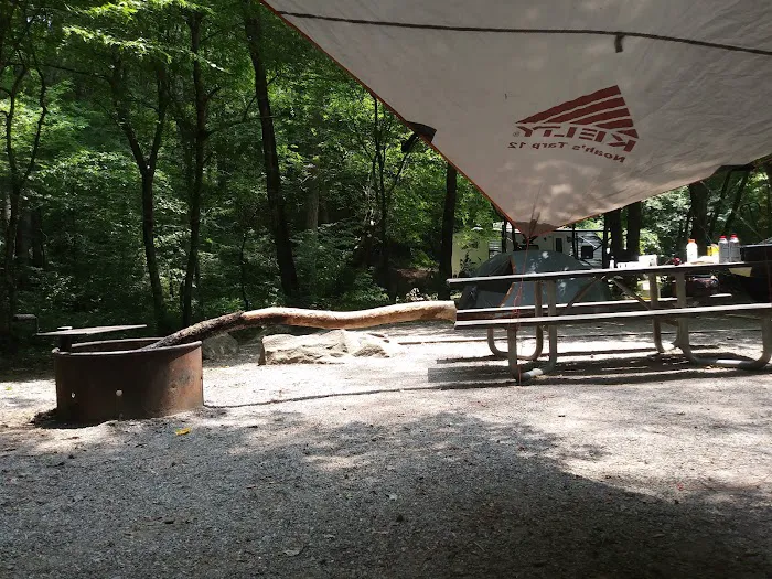 Mulky Campground Picture 9