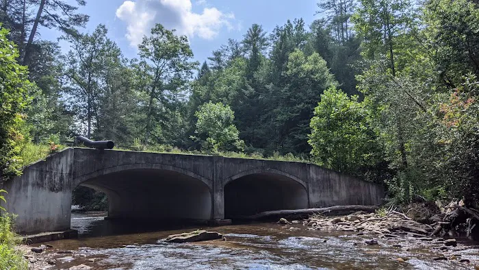 Cooper Creek Recreation Area Picture 1