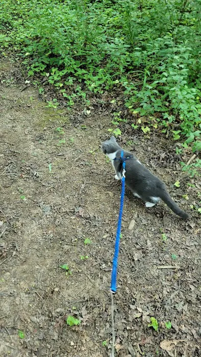 Cooper Creek Recreation Area Picture 5