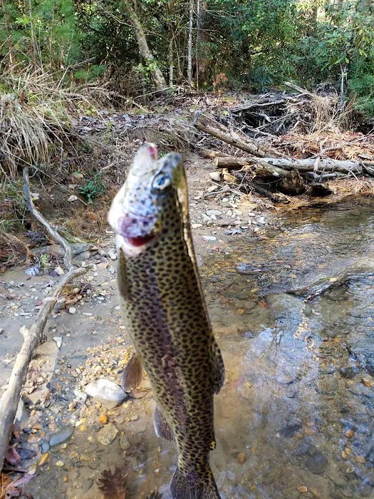 Cooper Creek Recreation Area Picture 6