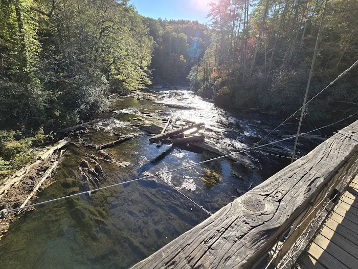 Cooper Creek Recreation Area Picture 7