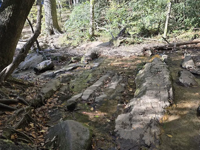 Cooper Creek Recreation Area Picture 8