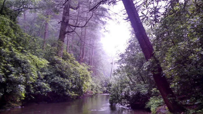 Cooper Creek Recreation Area Picture 9