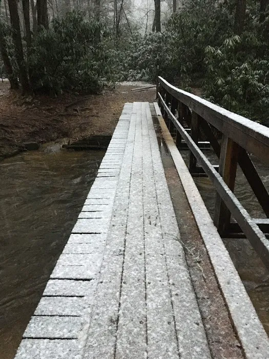 Three Forks USFS 58 4.3 Picture 1