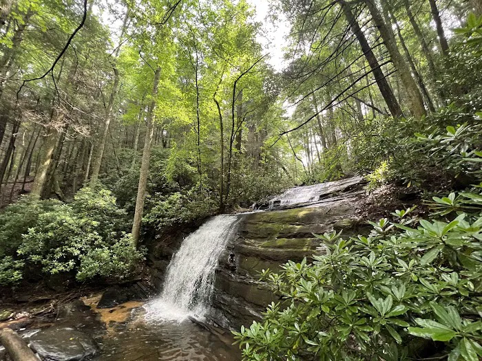 Three Forks USFS 58 4.3 Picture 3