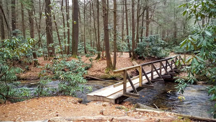 Three Forks USFS 58 4.3 Picture 2