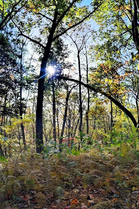 Three Forks USFS 58 4.3 Picture 8