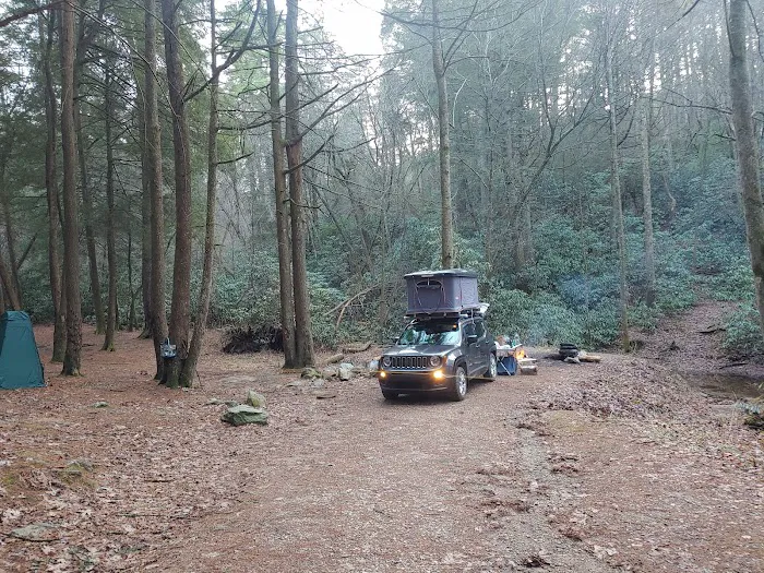 Three Forks USFS 58 4.3 Picture 7