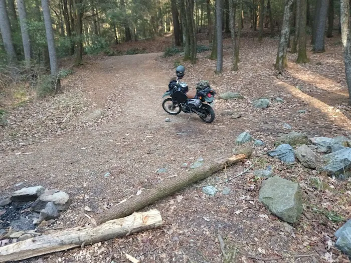 Three Forks USFS 58 4.3 Picture 9