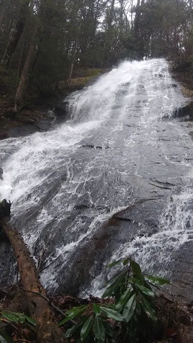 Three Forks USFS 58 4.3 Picture 10