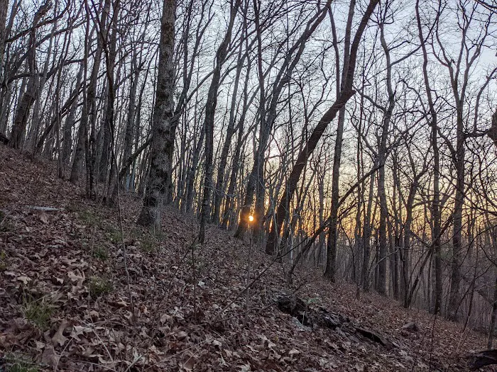 Low Gap Shelter Picture 2