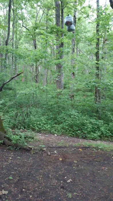 Low Gap Shelter Picture 4