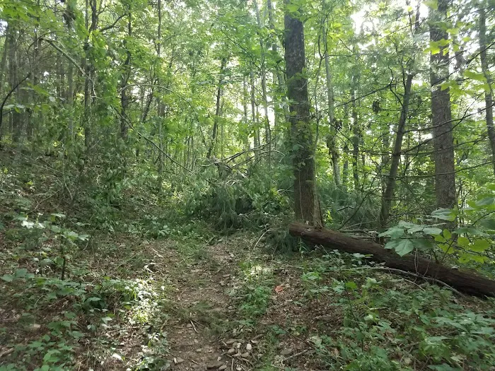 Low Gap Shelter Picture 6