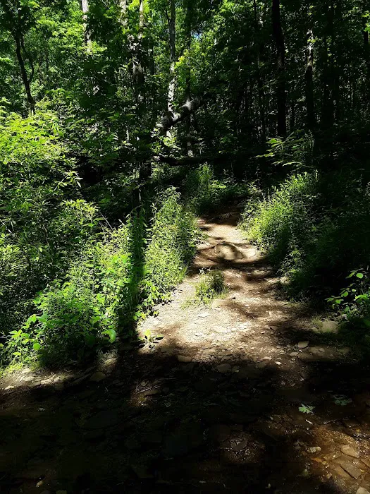 Low Gap Shelter Picture 7