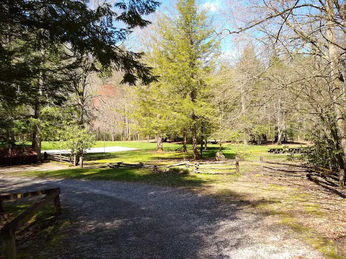 Rattler Ford Campground, Cheoah Ranger District, Nantahala National Forest Picture 2