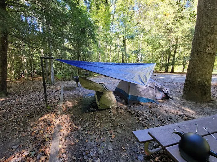 Rattler Ford Campground, Cheoah Ranger District, Nantahala National Forest Picture 1