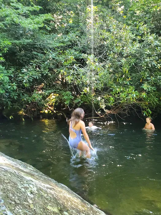 Rattler Ford Campground, Cheoah Ranger District, Nantahala National Forest Picture 5