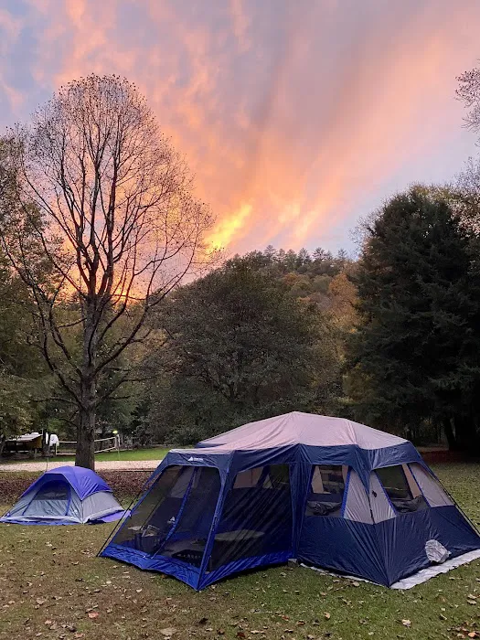 Rattler Ford Campground, Cheoah Ranger District, Nantahala National Forest Picture 6