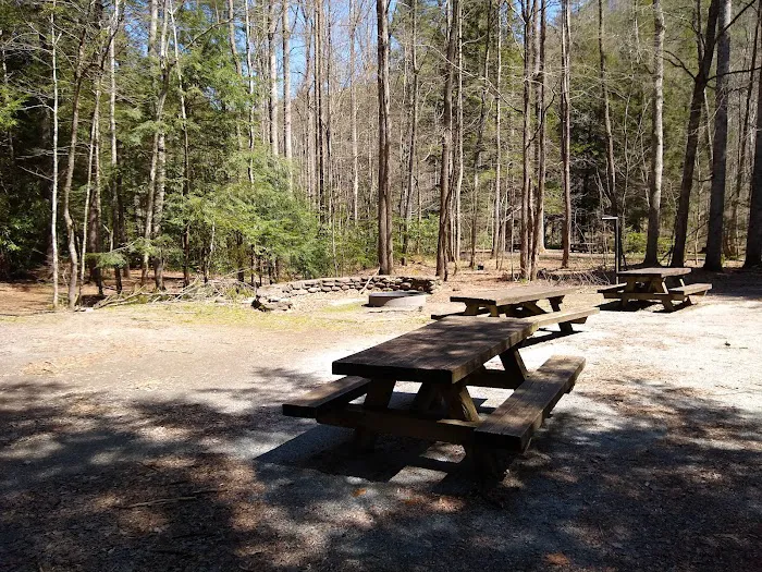Rattler Ford Campground, Cheoah Ranger District, Nantahala National Forest Picture 4