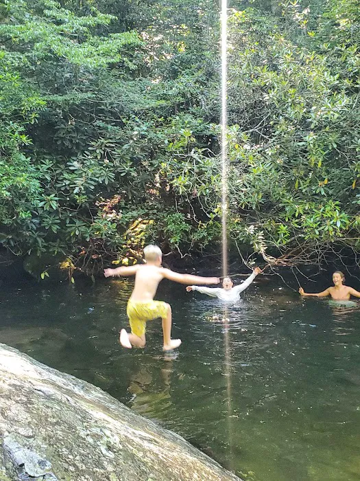 Rattler Ford Campground, Cheoah Ranger District, Nantahala National Forest Picture 3