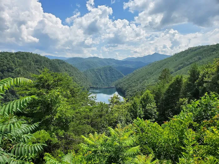Rattler Ford Campground, Cheoah Ranger District, Nantahala National Forest Picture 9