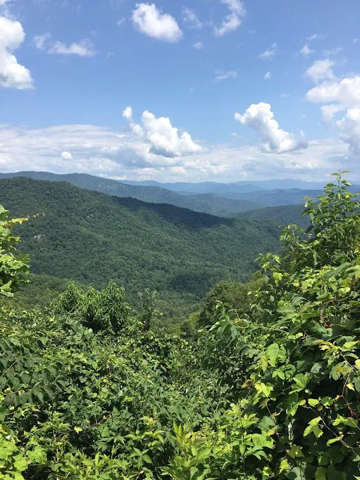 Rattler Ford Campground, Cheoah Ranger District, Nantahala National Forest Picture 8