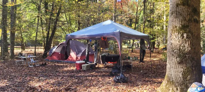 Rattler Ford Campground, Cheoah Ranger District, Nantahala National Forest Picture 10
