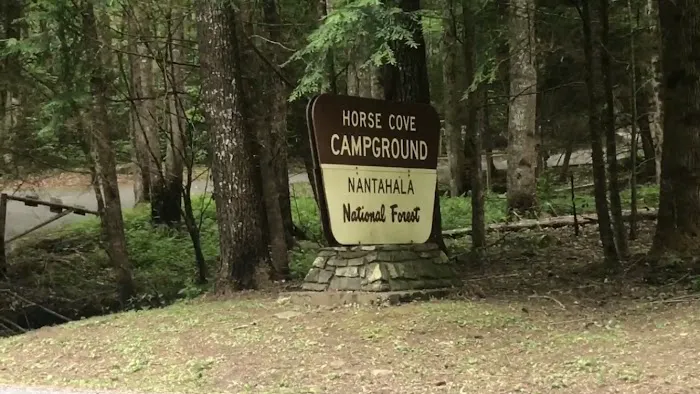 Horse Cove Campground, Cheoah Ranger District, Nantahala National Forest Picture 1