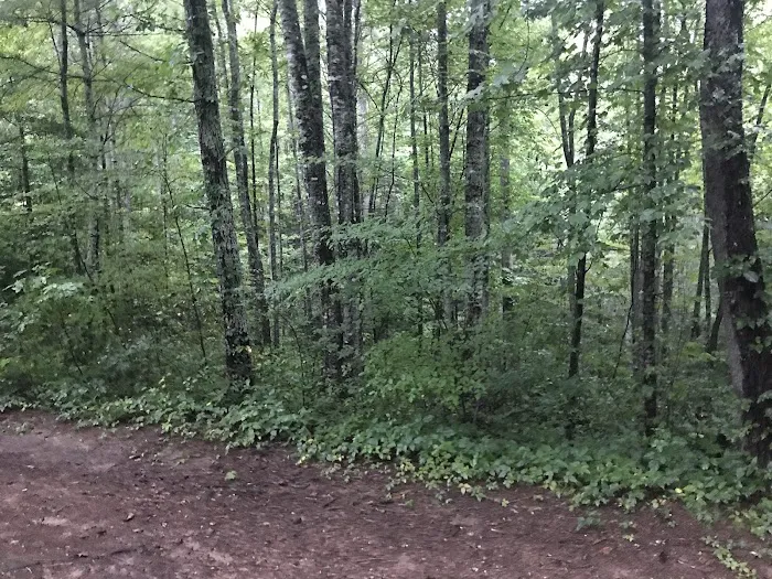 Horse Cove Campground, Cheoah Ranger District, Nantahala National Forest Picture 2