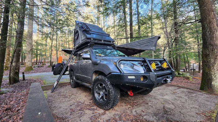 Horse Cove Campground, Cheoah Ranger District, Nantahala National Forest Picture 7