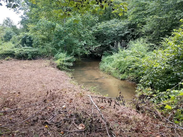 Moonshine Run Campground Picture 2