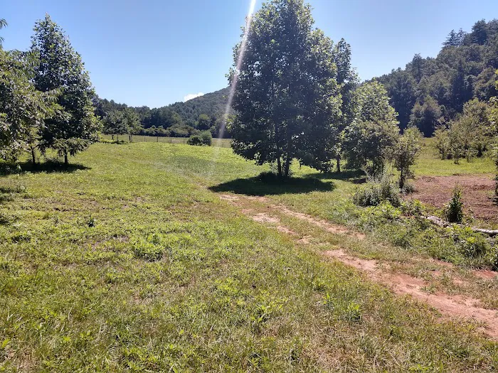 Moonshine Run Campground Picture 1