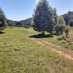 Moonshine Run Campground