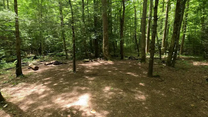 Backcountry Camp 77, Pilkey Creek Picture 2