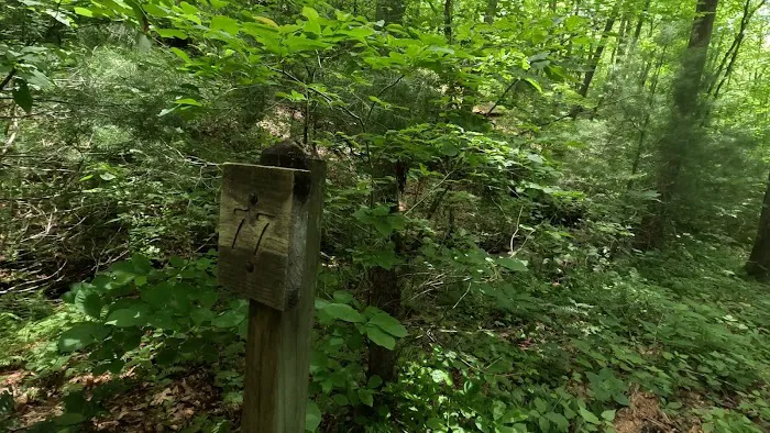 Backcountry Camp 77, Pilkey Creek Picture 3