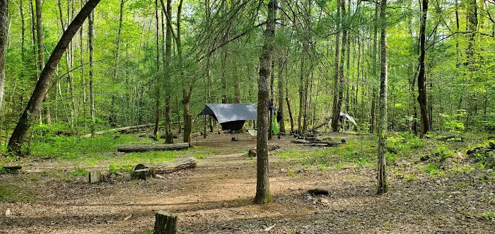 Backcountry Camp 77, Pilkey Creek Picture 1