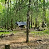 Backcountry Camp 77, Pilkey Creek ico