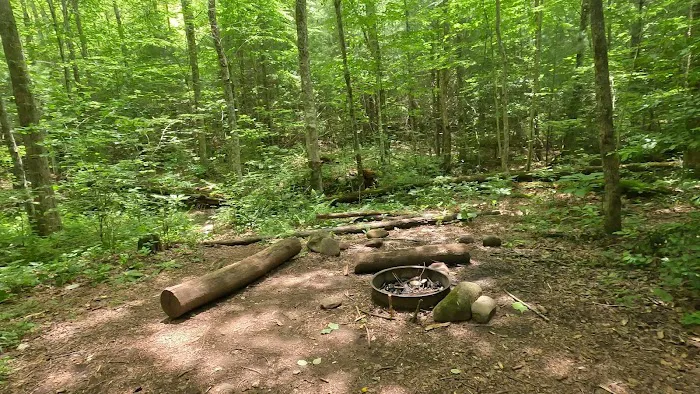 Backcountry Camp 77, Pilkey Creek Picture 5