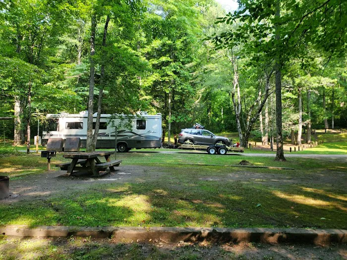 Cable Cove Campground, Cheoah Ranger District, Nantahala National Forest Picture 2