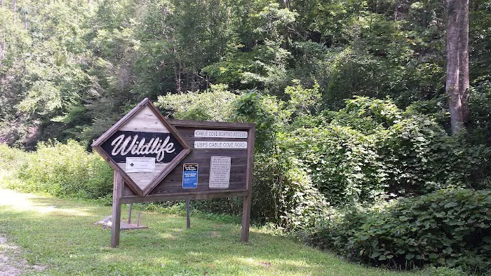 Cable Cove Campground, Cheoah Ranger District, Nantahala National Forest Picture 6