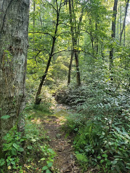 Cable Cove Campground, Cheoah Ranger District, Nantahala National Forest Picture 9